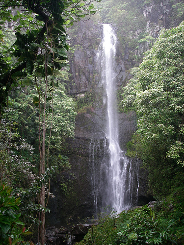 A waterfall off the Road to Hana