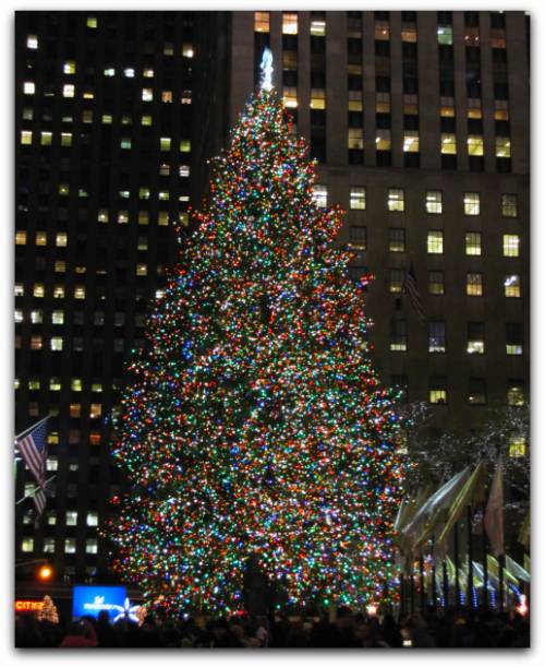Holiday Season New York: Christmas tree, Rockefeller