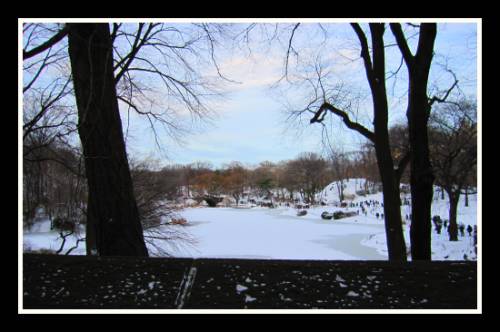 Holiday Season New York: Central Park in the snow