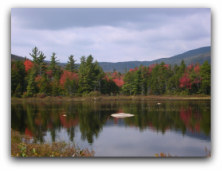 See fall foliage at Lily Pond, NH
