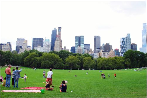 Sheep Meadow, Central Park