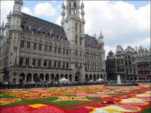 Town Hall with the Flower Carpet in front, Brussels