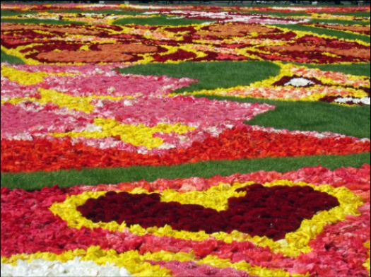 Flower carpet up close in Brussels
