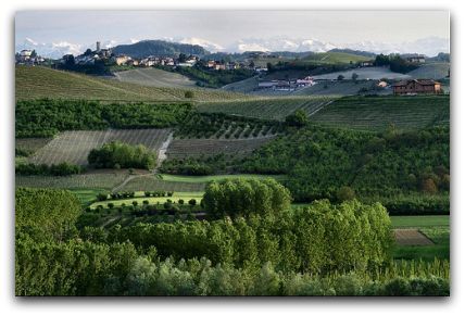 Langhe region, Italy