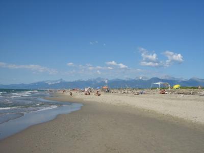 Wild sandy beach  - Marina di Vecchiano - Italy