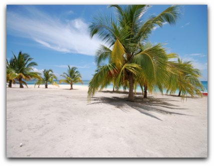 World Most Beautiful Beaches: Saona