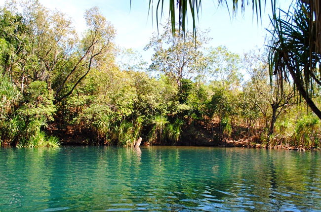 Berry Springs Nature Park (Darwin): Top Tips Before You Go 