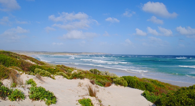 What to do at Kangaroo Island? Go for a walk at Bales Beach