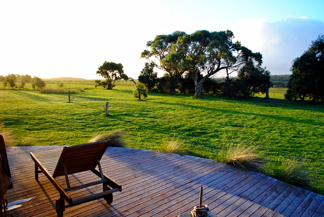 Terrace at the Great Ocean Ecolodge, Cape Otway