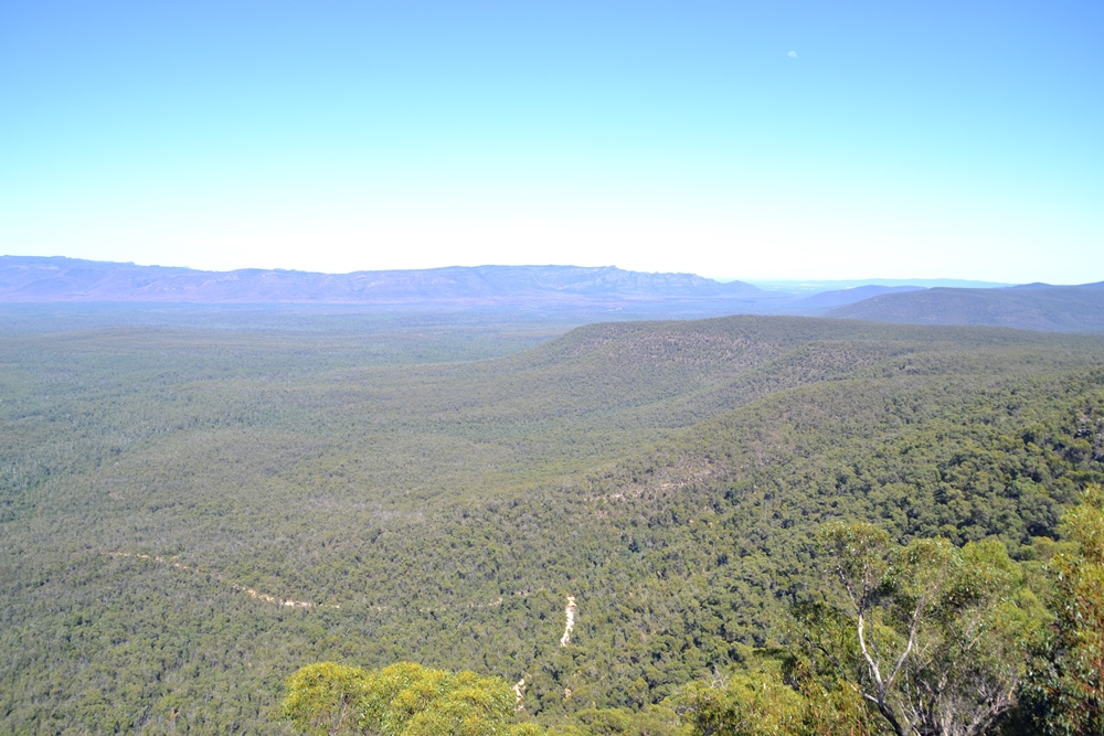 Grampians National ParkView from Reed Lookout