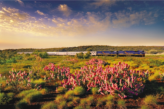 Train Journey in Australia: Indian Pacific