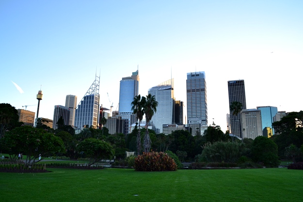 What to see in Sydney? Botanical Garden