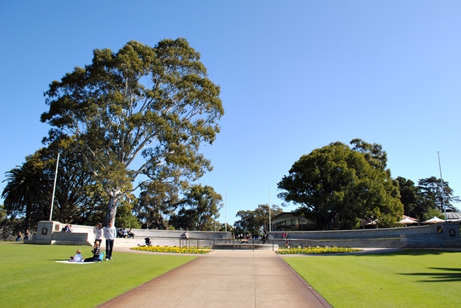 What to see in Perth? King`s Park and Botanic Garden